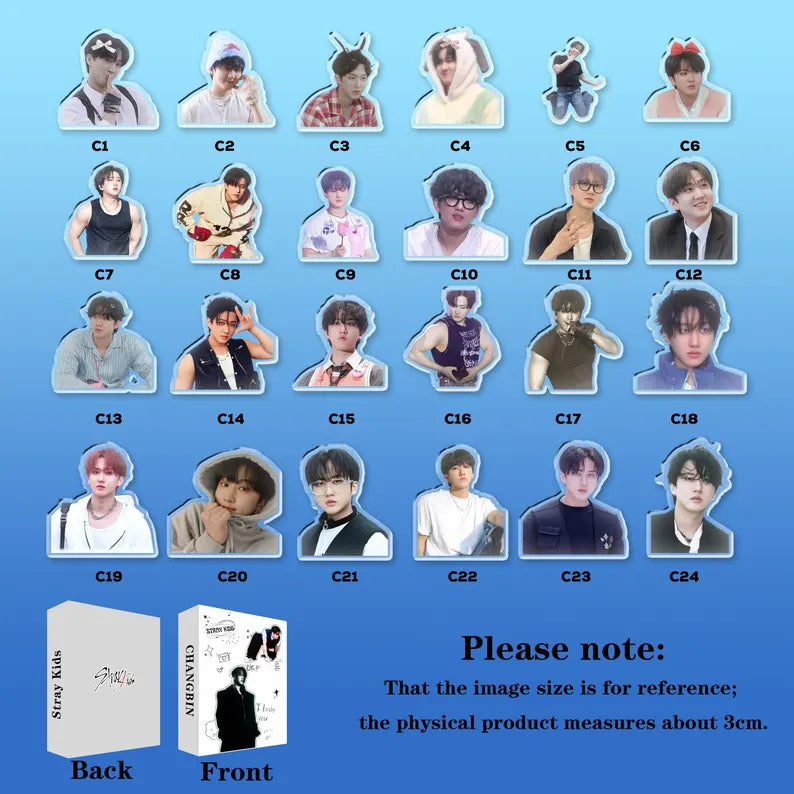 Stray Kids Hyunjin Mystery Box Keychain, SKZ Hyunjin Keychain Charm, Kpop Idol Keychain, Stray Kids Merch, STAY Fan Gift, Kpop Keychain