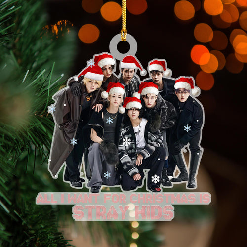 WAVESTEEᵀᴹ All I Want For Christmas Stray Kids Acrylic Ornament