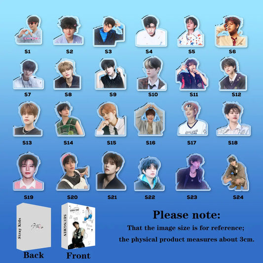 Stray Kids Hyunjin Mystery Box Keychain, SKZ Hyunjin Keychain Charm, Kpop Idol Keychain, Stray Kids Merch, STAY Fan Gift, Kpop Keychain